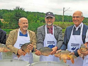 Karpfen statt Scampi: Karpfen 070440e4