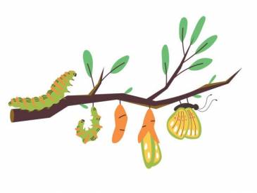 Vorlese- und Bastelspaß: Raupe Schmetterling A13aca7b