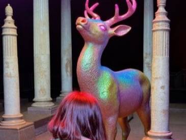 Eine Nacht in Venedig: Ronjaraeubertochter 62e62bd6