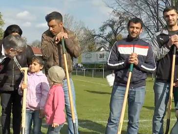 Gemeinsam Wurzeln schlagen: Wurzeln Clip 415d9bf9