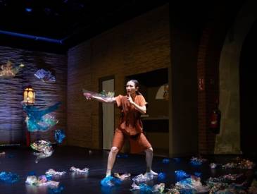 Der Zauberlehrling: Zauberlehrling Ce880e5e