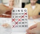 BINGO Spiel und Spaß: Bingo 046393fb