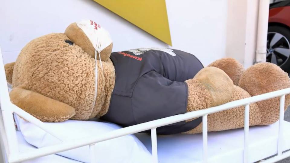 Teddybär entführt: Teddy Clip Fa2e6d07