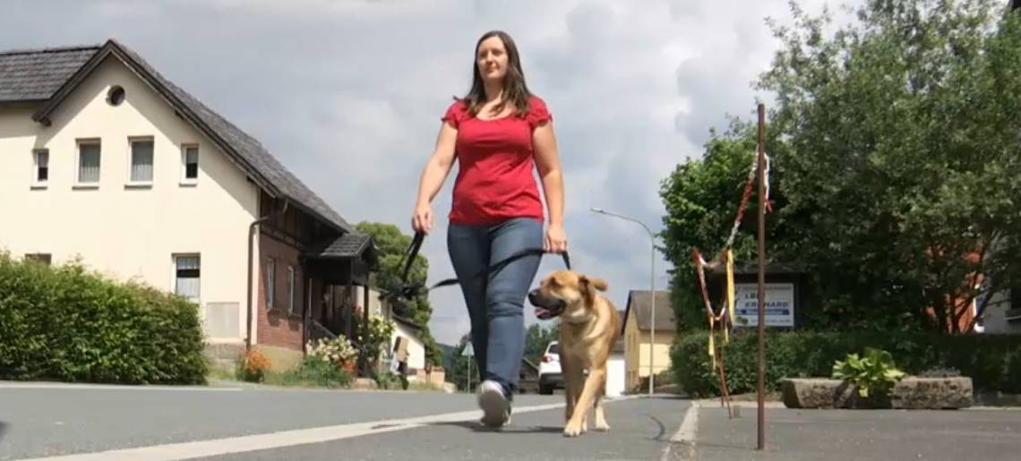 Hunde an die Leine: Hunde Clip A5f6959f