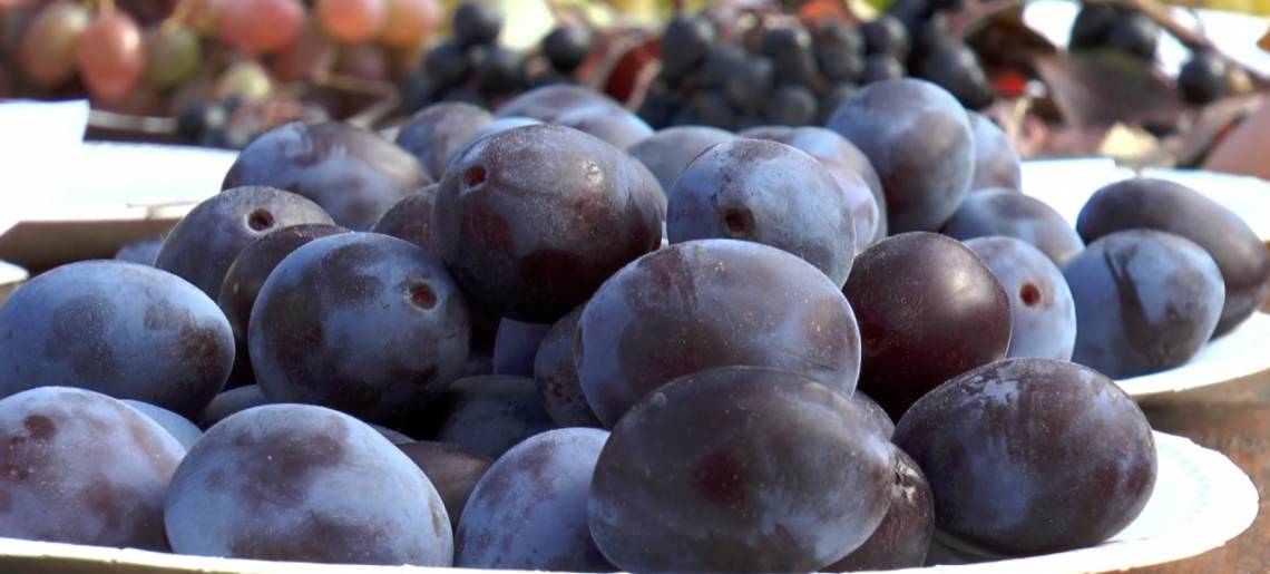 Herbstliche Naschereien: Obstgarten Lra 010e141e