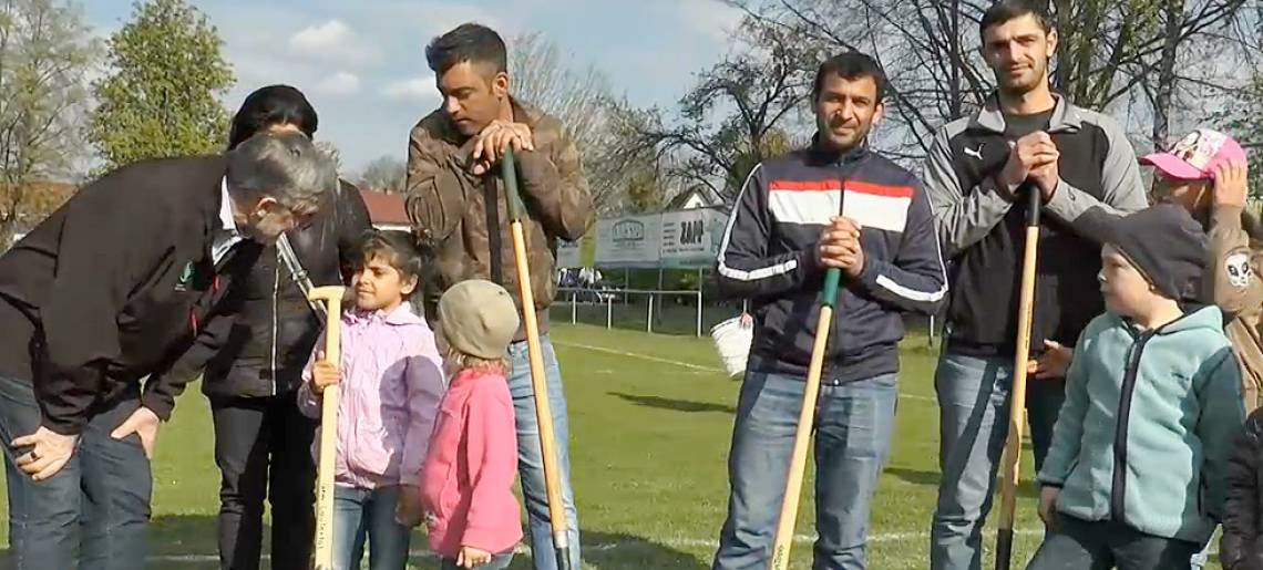 Gemeinsam Wurzeln schlagen: Wurzeln Clip 415d9bf9