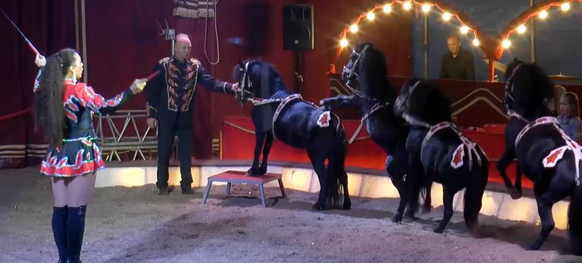 Zauber der Manege: Zirkus Talk 2d2ae961